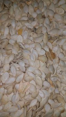 تخمه کدو خام فله